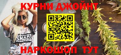 СК Будённовск