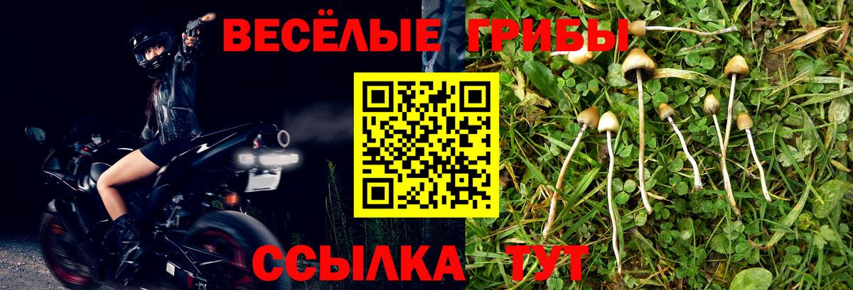 Псилоцибиновые грибы мицелий  Вход с VPN  Пугачёв 