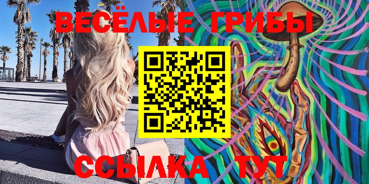 Галлюциногенные грибы Psilocybe Пугачёв